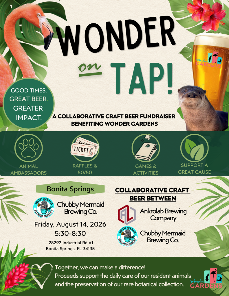 Colorful event poster for “Wonder on Tap” promoting a collaborative craft beer fundraiser for Wonder Gardens, featuring a flamingo, a beer glass, tropical leaves, and a hibiscus flower.