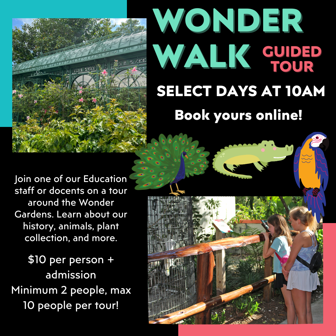 Wonder Walk Bonita Wonder Gardens