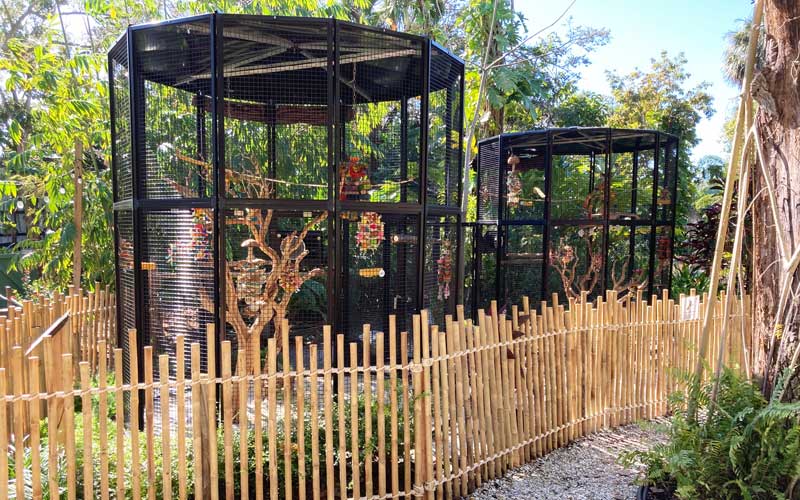 Image showcasing Macaw Enclosure Mesh | Zoo Mesh Supplier-Hengyi